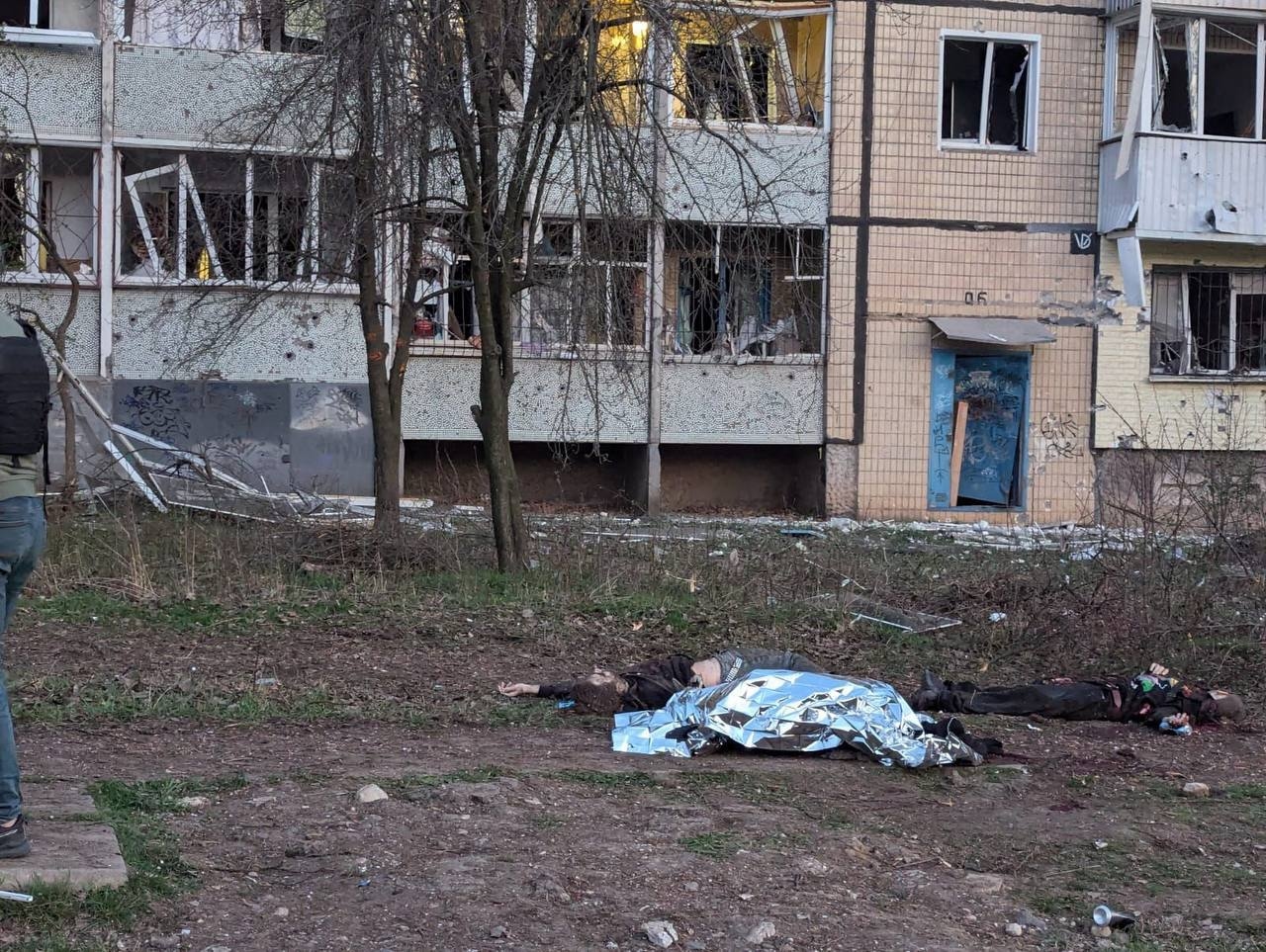 Изображение из галереи