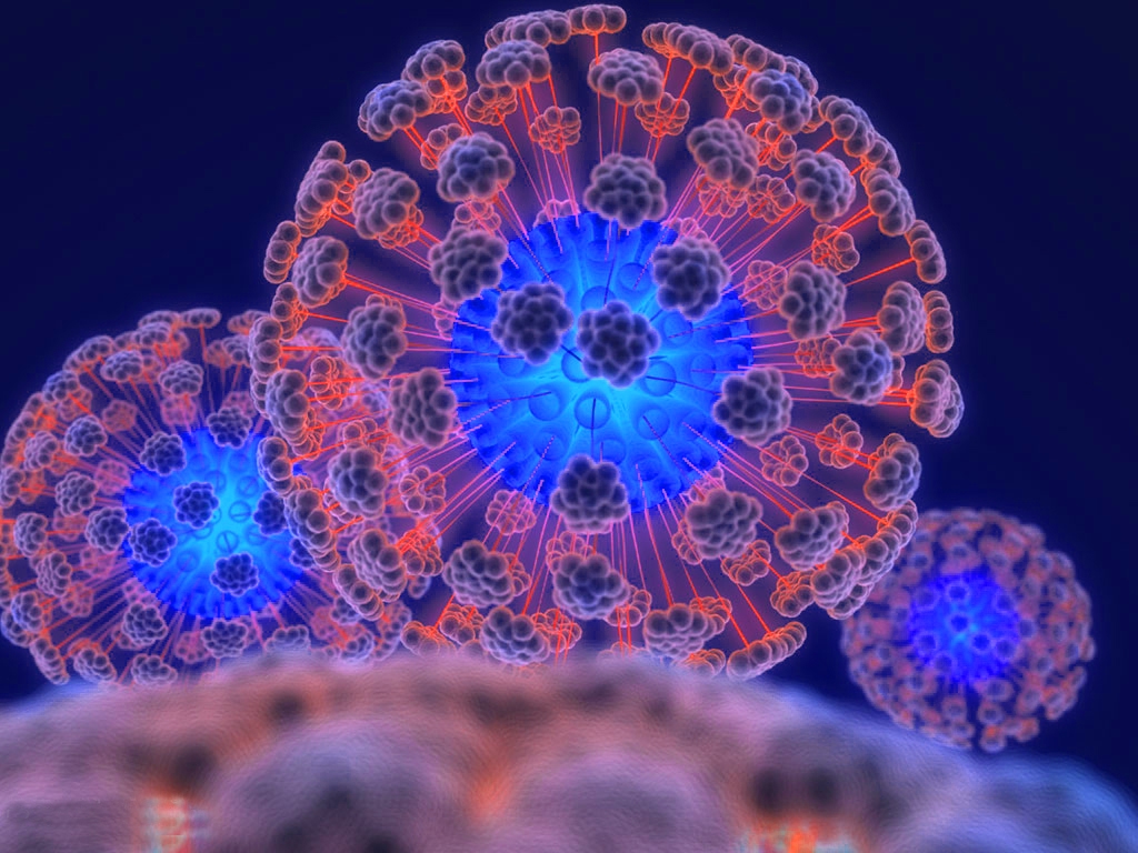 virus-vich