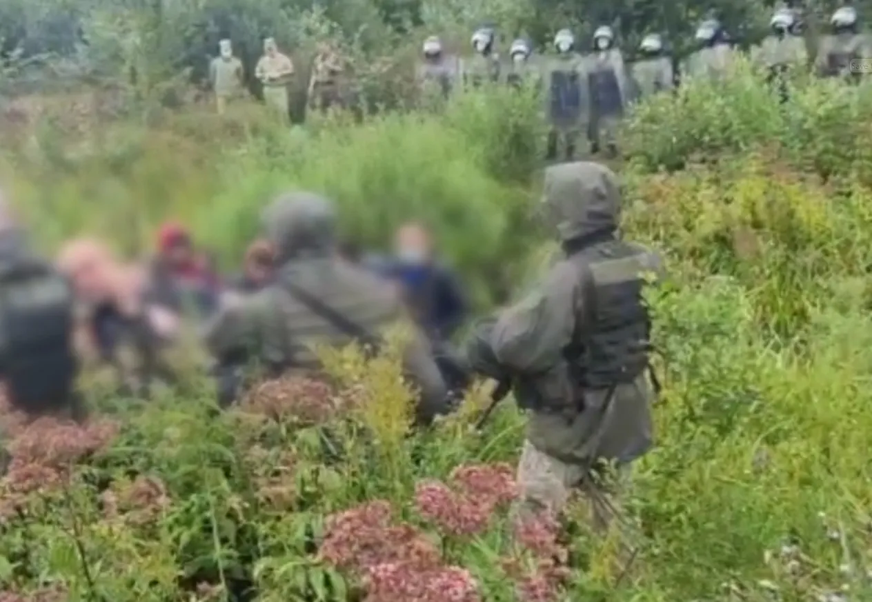 Белорусские пограничники выталкивали мигрантов на территорию Литвы, заявила погранслужба страны