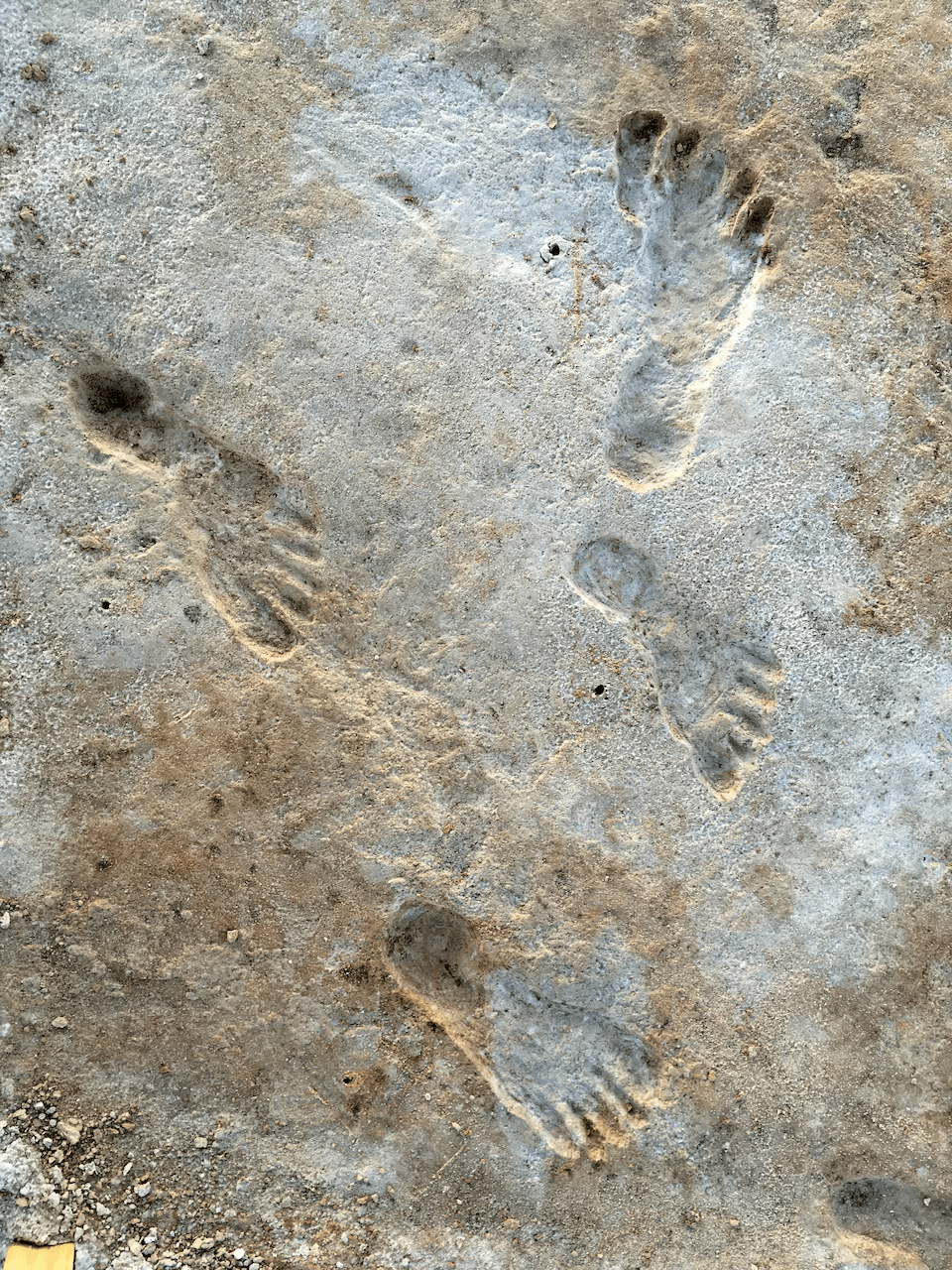 Homo sapiens появились в Северной Америке на несколько тысячелетий раньше, чем считалось ранее — исследование